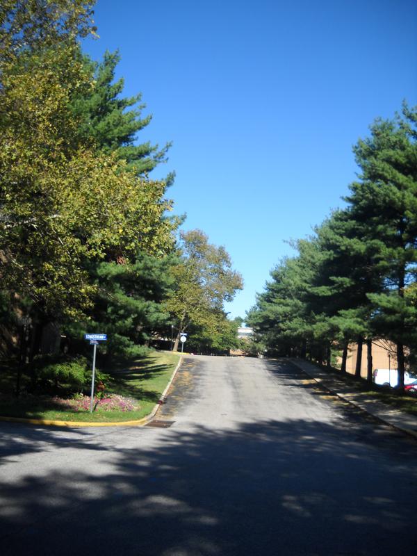street